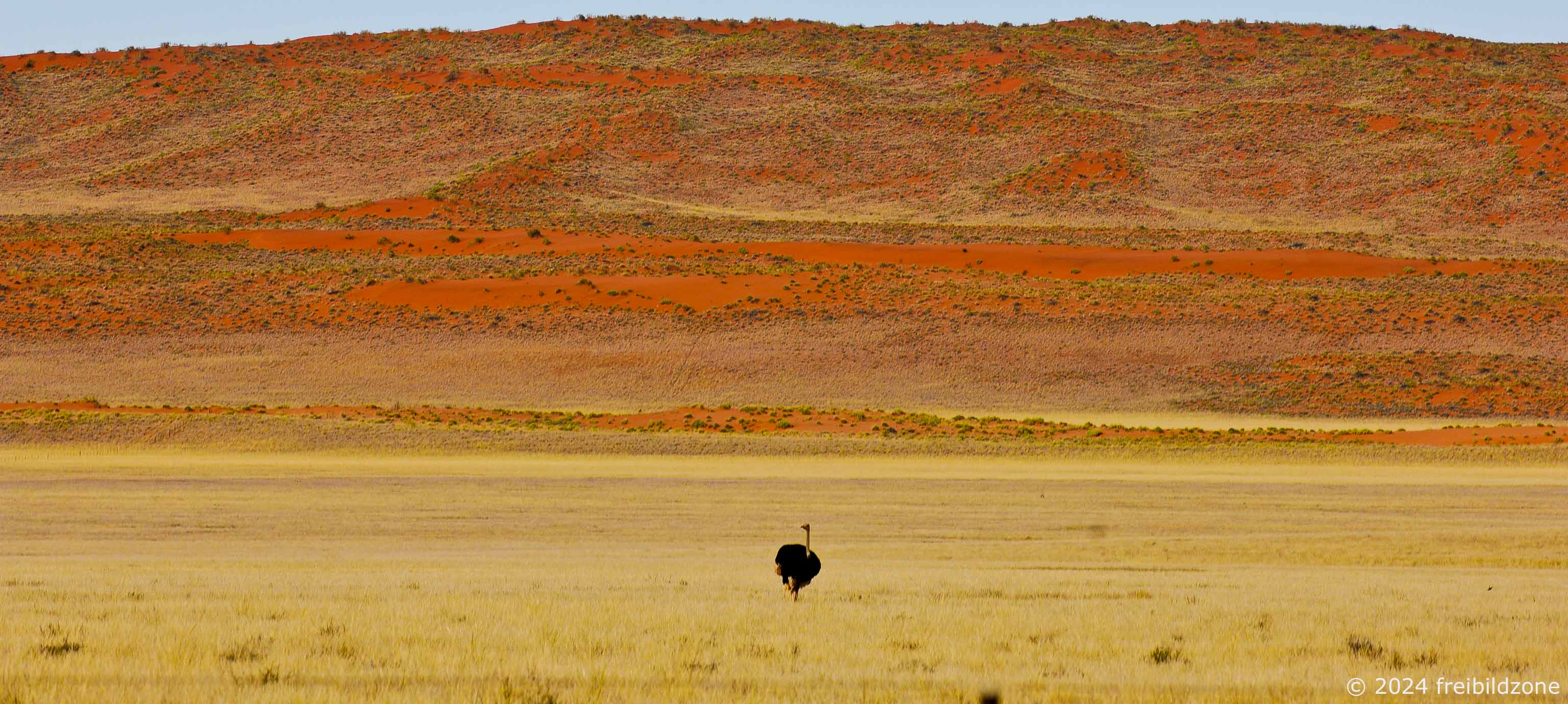 Kalahari, Namibia