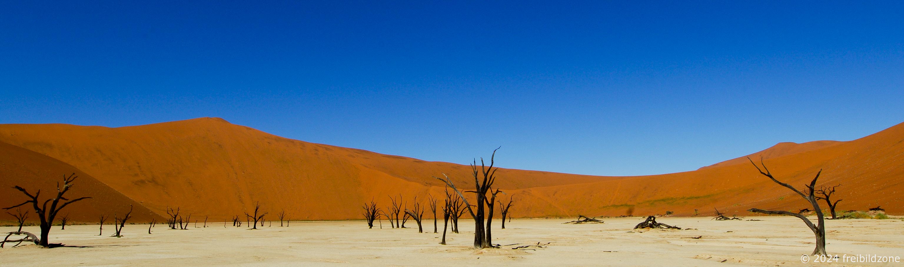 Dead vlei, Namibia
