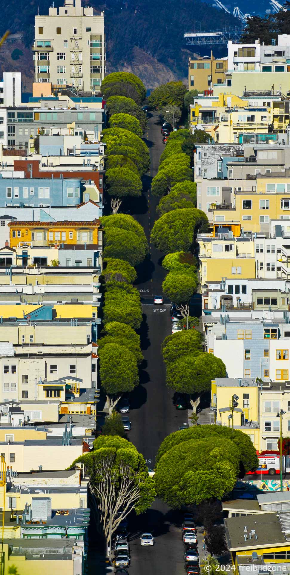 Lombard Street West, San Francisco, USA