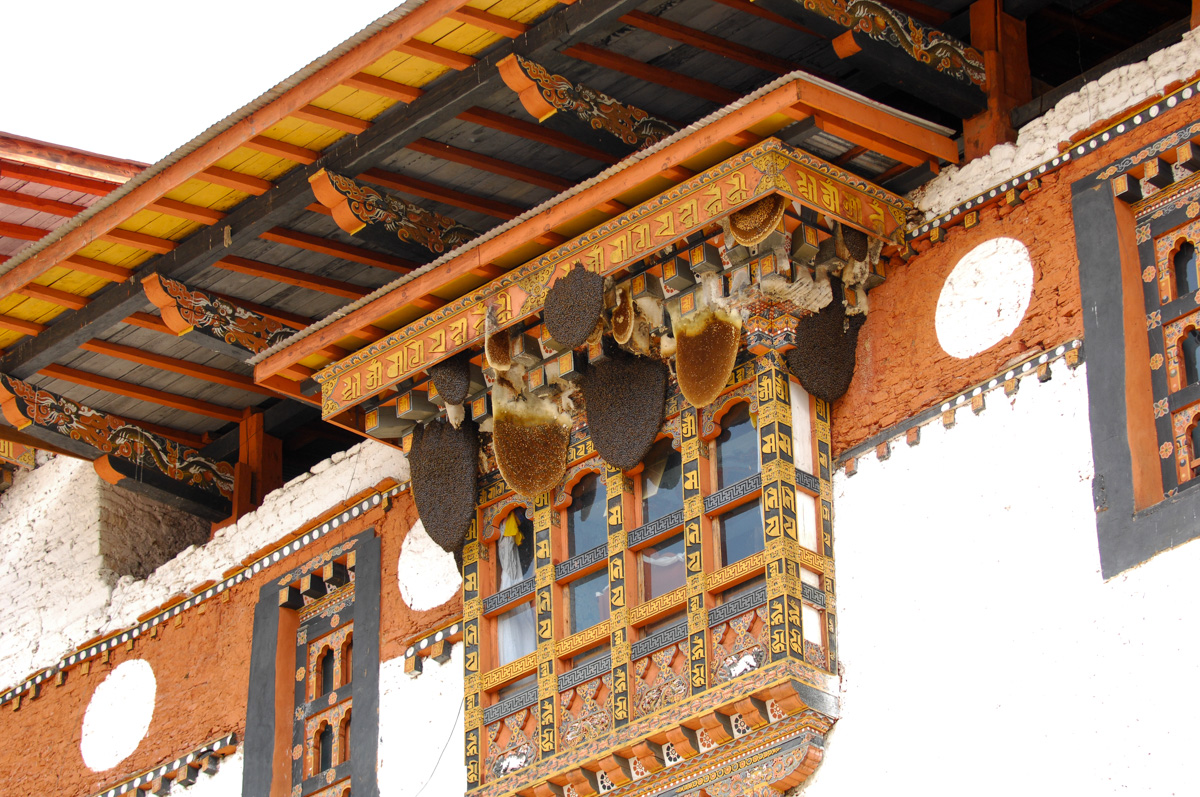 Honeycombs on Punakha Dzong