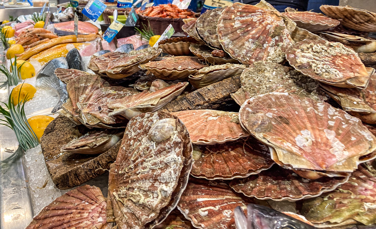 Frische Jakobsmuscheln, Marché en Avallon