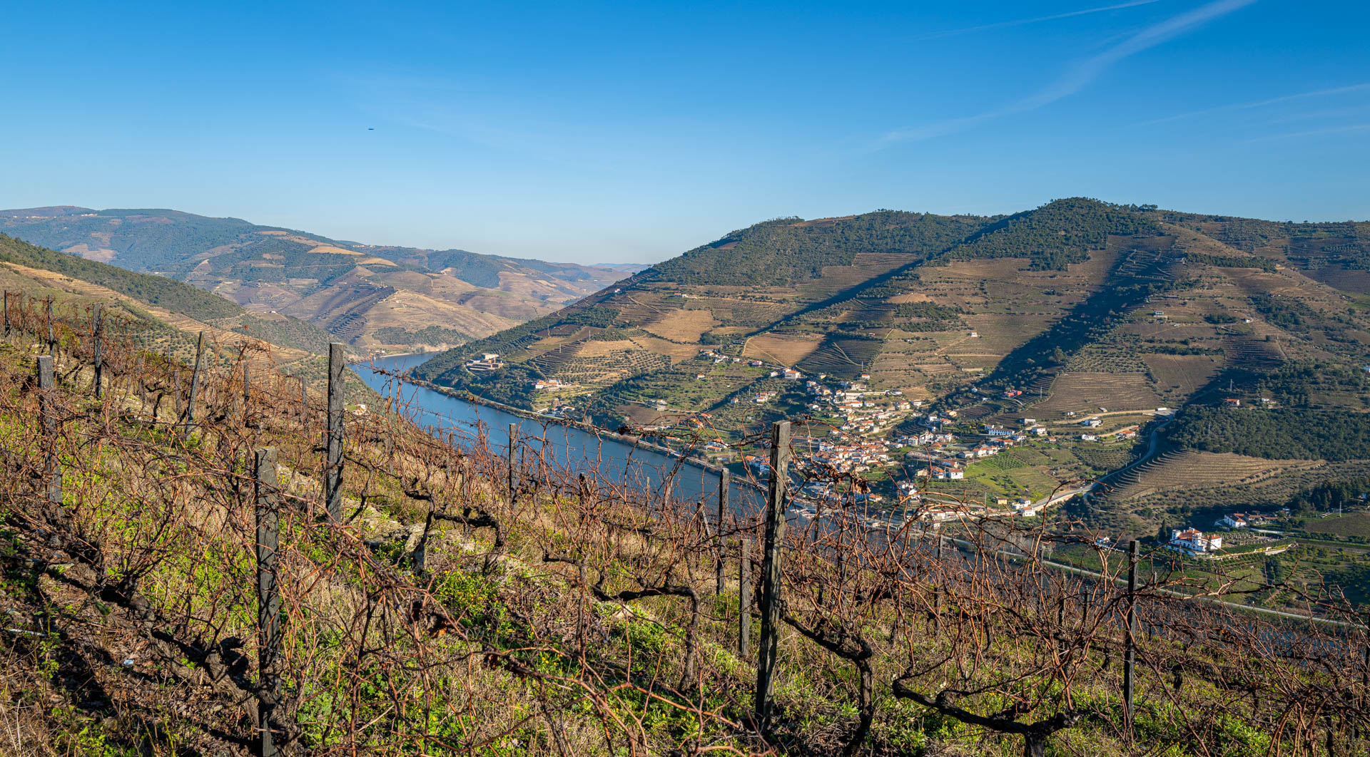Weinberg mit Blick auf den Douro